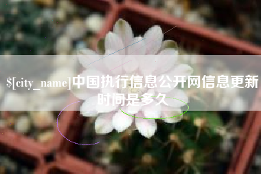 岑溪中国执行信息公开网信息更新时间是多久