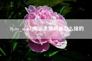 岑溪奥运金牌榜是怎么排的