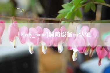 岑溪消防设备ccc认证