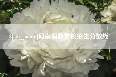 岑溪河南消防学校招生分数线
