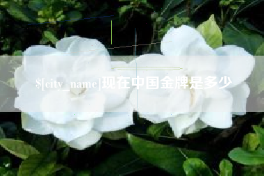岑溪现在中国金牌是多少
