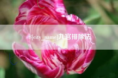 岑溪九宫排除法