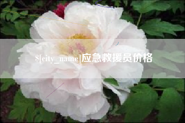 岑溪应急救援员价格