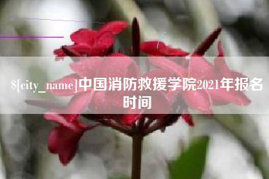岑溪中国消防救援学院2021年报名时间