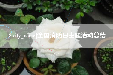 岑溪全国消防日主题活动总结