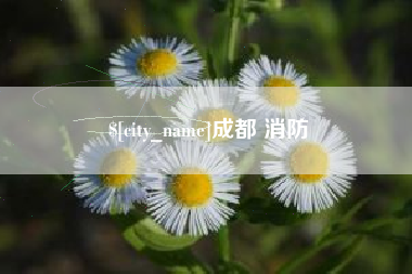 岑溪成都 消防