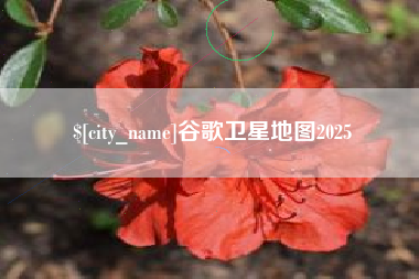 岑溪谷歌卫星地图2025