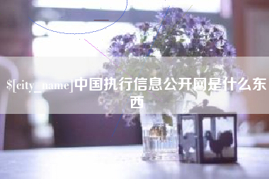 岑溪中国执行信息公开网是什么东西