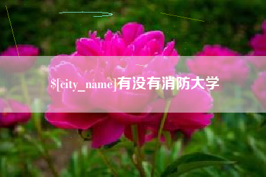 岑溪有没有消防大学