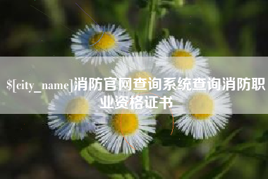 岑溪消防官网查询系统查询消防职业资格证书