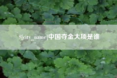 岑溪中国夺金大项是谁