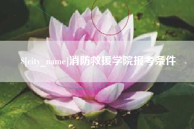 岑溪消防救援学院报考条件
