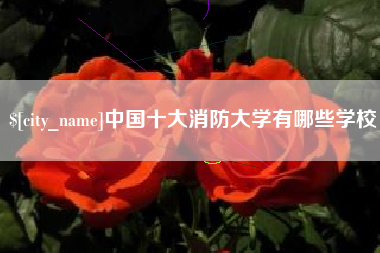 岑溪中国十大消防大学有哪些学校