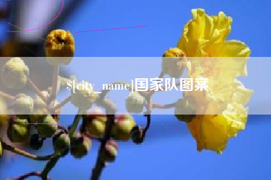 岑溪国家队图案
