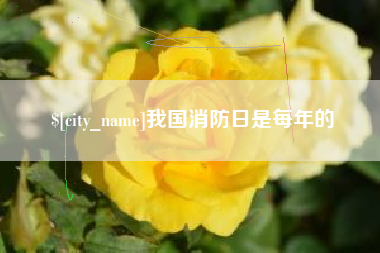 岑溪我国消防日是每年的