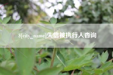 岑溪失信被执行人杳询
