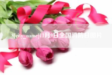 岑溪11月9日全国消防日图片
