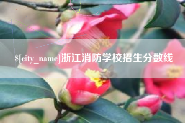 岑溪浙江消防学校招生分数线
