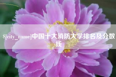 岑溪中国十大消防大学排名及分数线