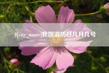 岑溪我国消防日几月几号