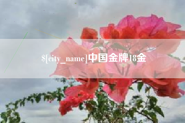 岑溪中国金牌18金