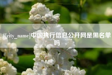 岑溪中国执行信息公开网是黑名单吗