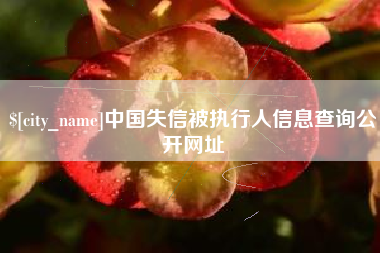 岑溪中国失信被执行人信息查询公开网址