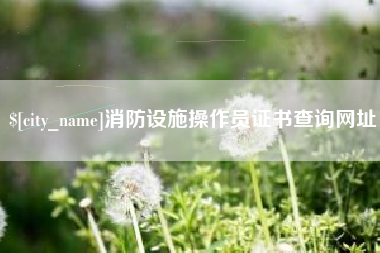 岑溪消防设施操作员证书查询网址