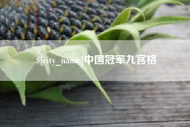 岑溪中国冠军九宫格