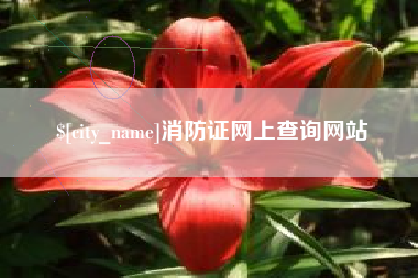 岑溪消防证网上查询网站