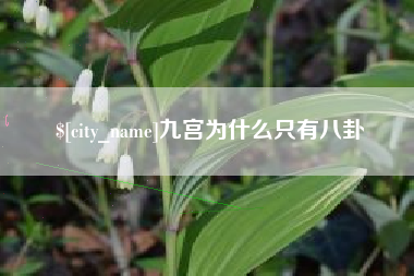 岑溪九宫为什么只有八卦