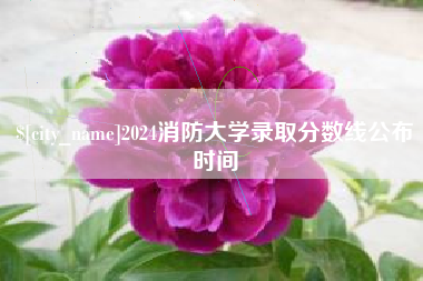 岑溪2024消防大学录取分数线公布时间