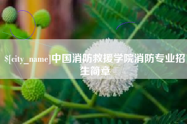 岑溪中国消防救援学院消防专业招生简章