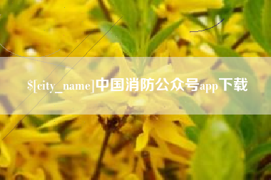 岑溪中国消防公众号app下载
