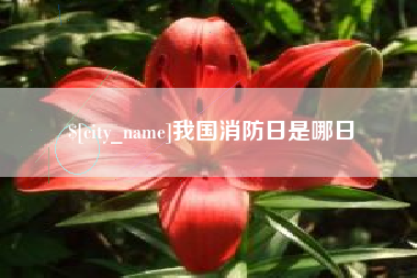 岑溪我国消防日是哪日