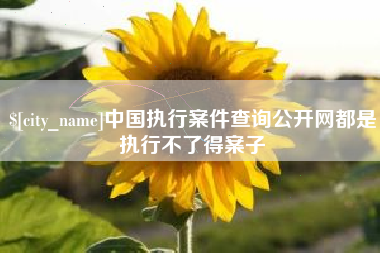 岑溪中国执行案件查询公开网都是执行不了得案子