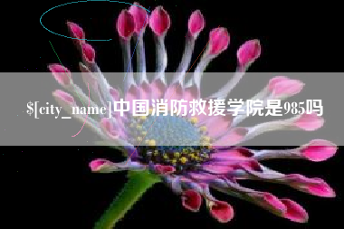 岑溪中国消防救援学院是985吗