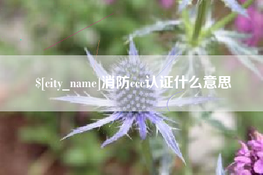 岑溪消防ccc认证什么意思
