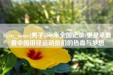 岑溪男子5000米全国记录-更是承载着中国田径运动员们的热血与梦想