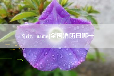 岑溪全国消防日哪一
