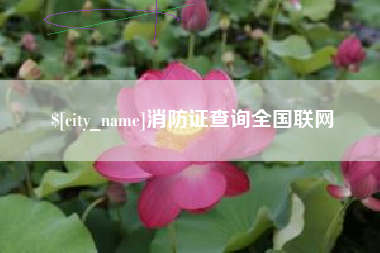 岑溪消防证查询全国联网