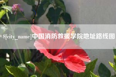 岑溪中国消防救援学院地址路线图