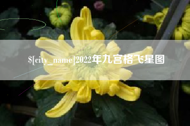 岑溪2022年九宫格飞星图