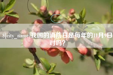 岑溪我国的消防日是每年的11月9日对吗？