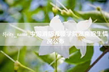 岑溪中国消防救援学院湖南招生情况公布