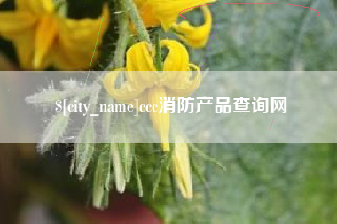 岑溪ccc消防产品查询网