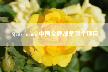 岑溪中国金牌都是哪个项目