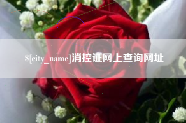 岑溪消控证网上查询网址