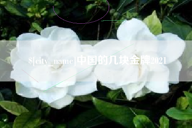 岑溪中国的几块金牌2021