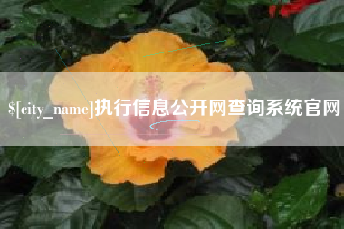 岑溪执行信息公开网查询系统官网